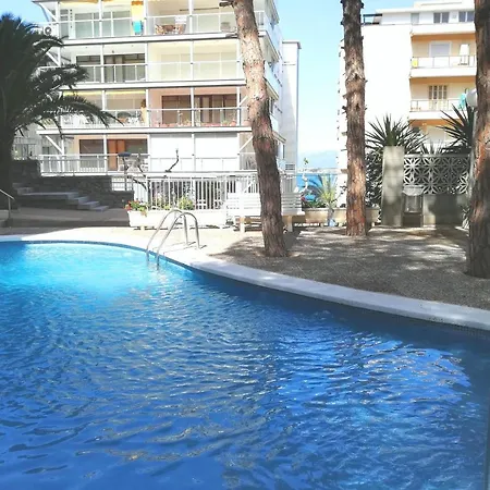 Paradis Palmyra